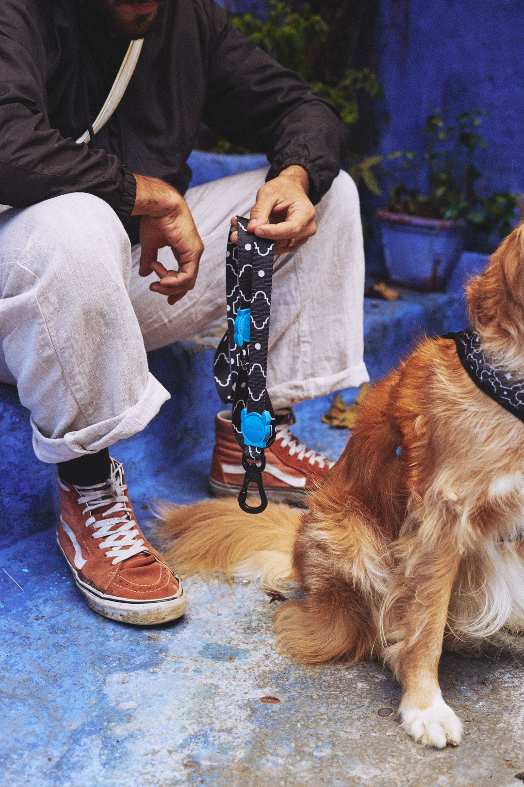 Zee.Dog - Mahleb Gezdirme Tasması