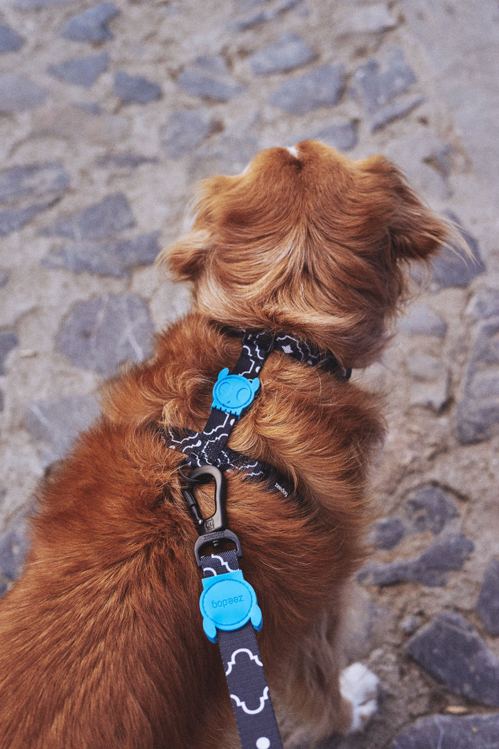 Zee.Dog - Mahleb Göğüs Tasması