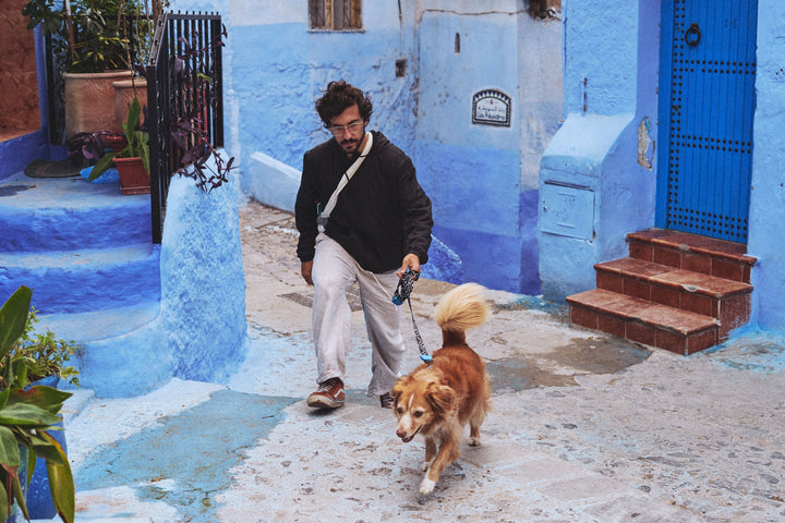 Zee.Dog - Mahleb Göğüs Tasması