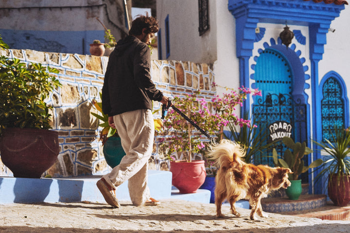Zee.Dog - Mahleb Göğüs Tasması