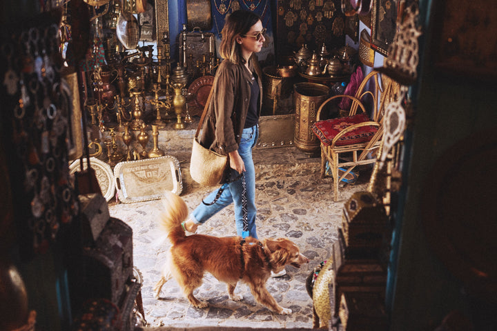 Zee.Dog - Mahleb Göğüs Tasması