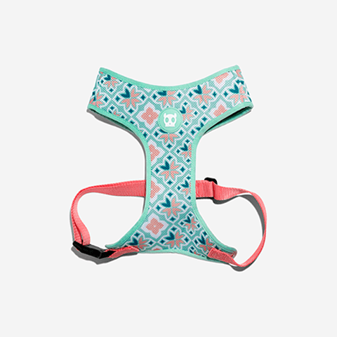 Zee.Dog - Marcuch Air Mesh Göğüs Tasması