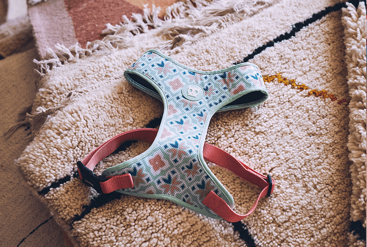 Zee.Dog - Marcuch Air Mesh Göğüs Tasması