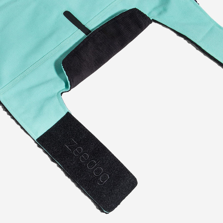 Zee.Dog - Mint Mont - Mint Coat