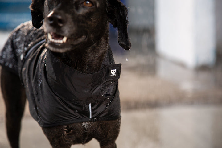 Zee.Dog - Ozzy Yağmurluk