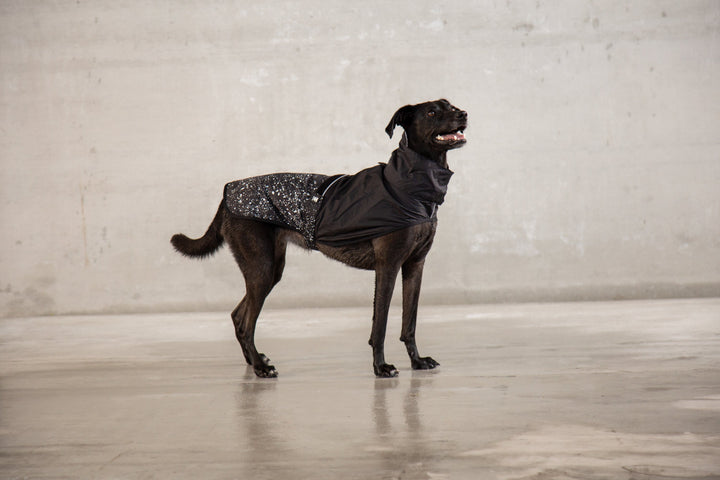 Zee.Dog - Ozzy Yağmurluk