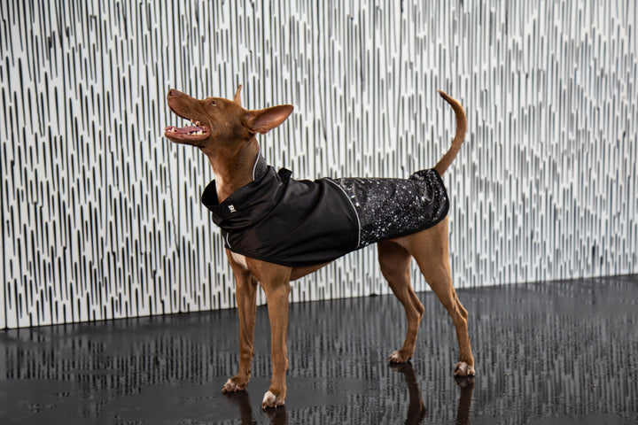 Zee.Dog - Ozzy Yağmurluk