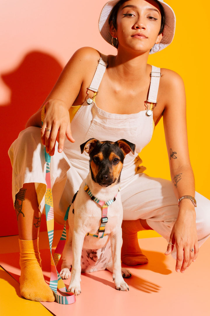 Zee.Dog - Salina Göğüs Tasması