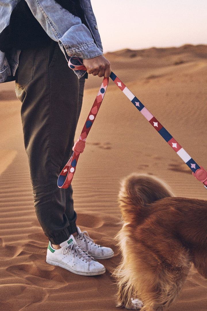 Zee.Dog - Same Gezdirme Tasması