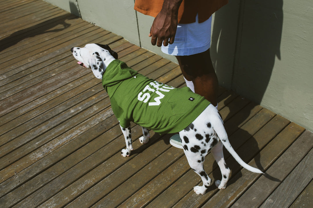 Zee.Dog - Stay Wild | Hoodie