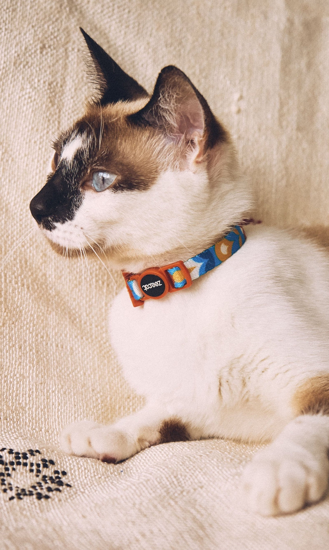 Zee.Dog - Yansun Kedi Tasması