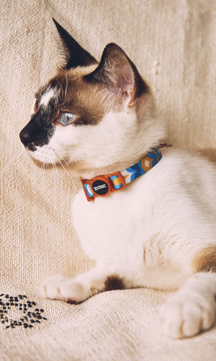 Zee.Dog - Yansun Kedi Tasması