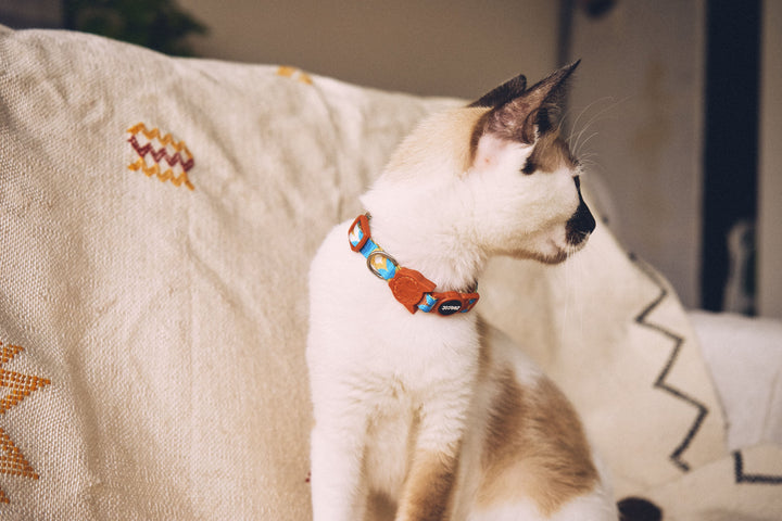 Zee.Dog - Yansun Kedi Tasması
