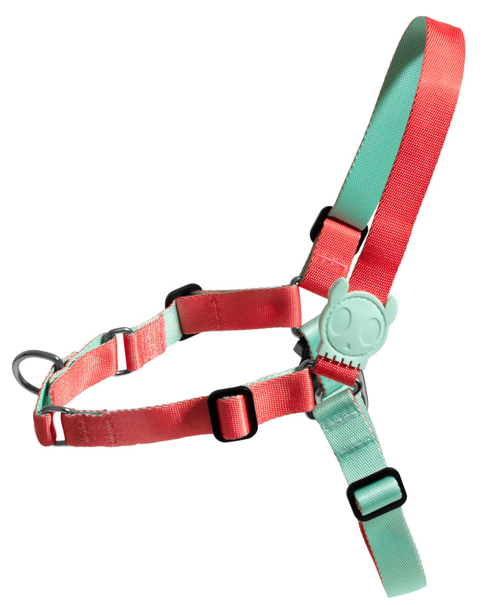 Zee.Dog - Zahara Soft Walk Göğüs Tasması